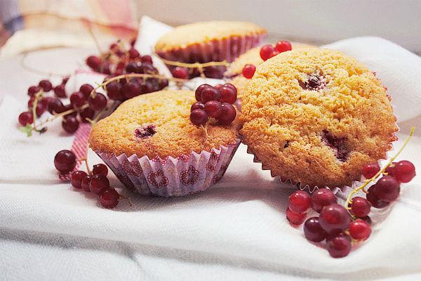 Magdalenes de grosella negra