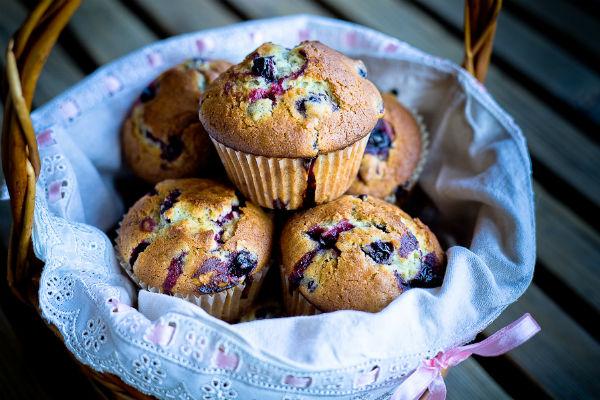 Magdalenes de grosella negra casolanes
