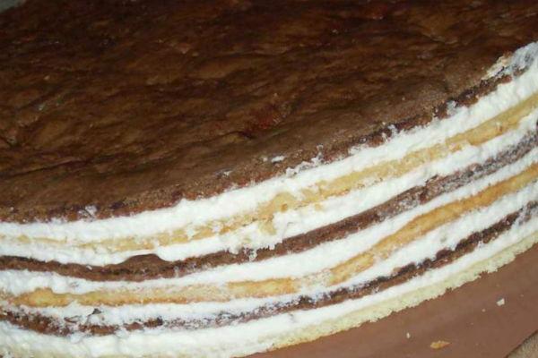 Pastís d'Ós al Nord 4