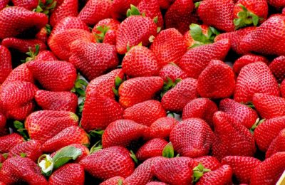 كيفية اختيار الفراولة اللذيذة - صورة