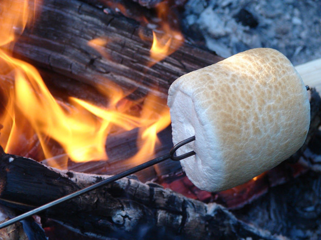 Quin aspecte té un marshmallow rostit? - foto