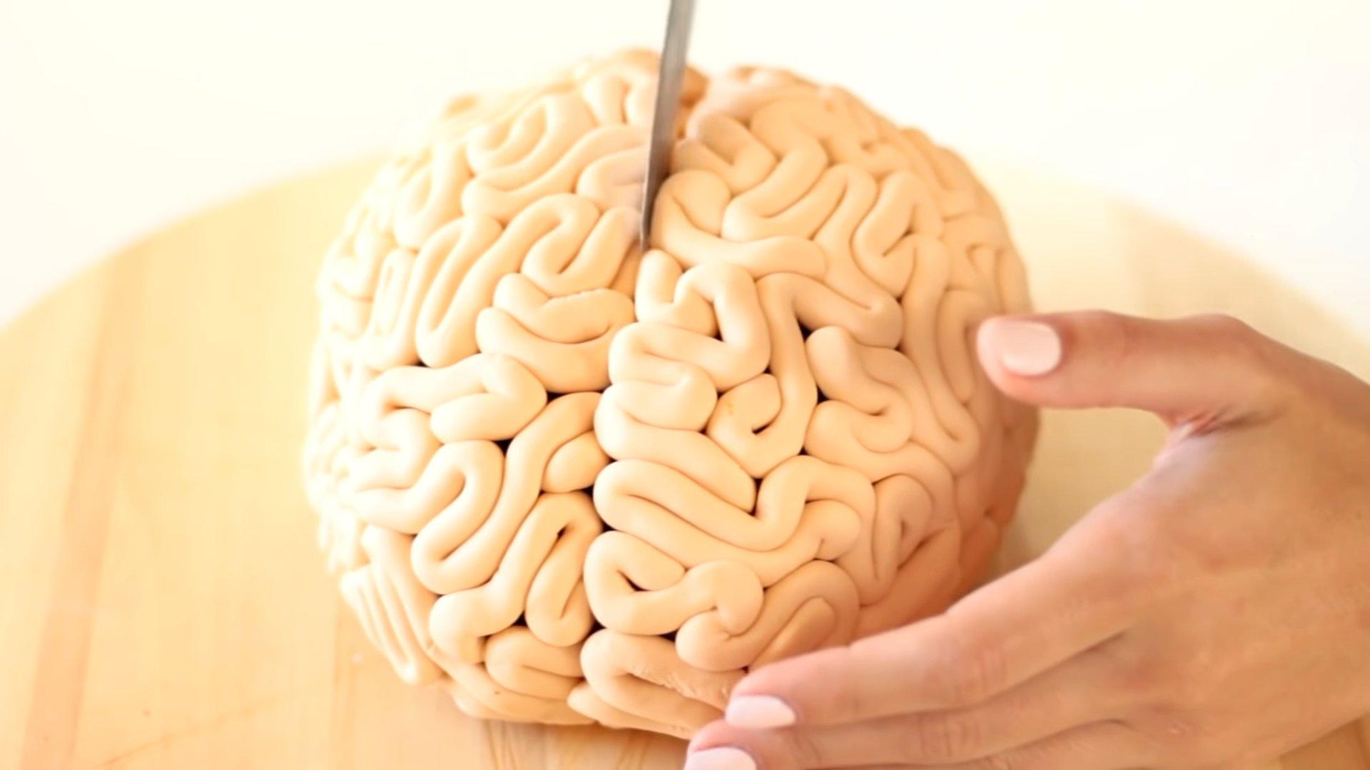 Ricetta - Torta al cervello realistica - Fase 15-2