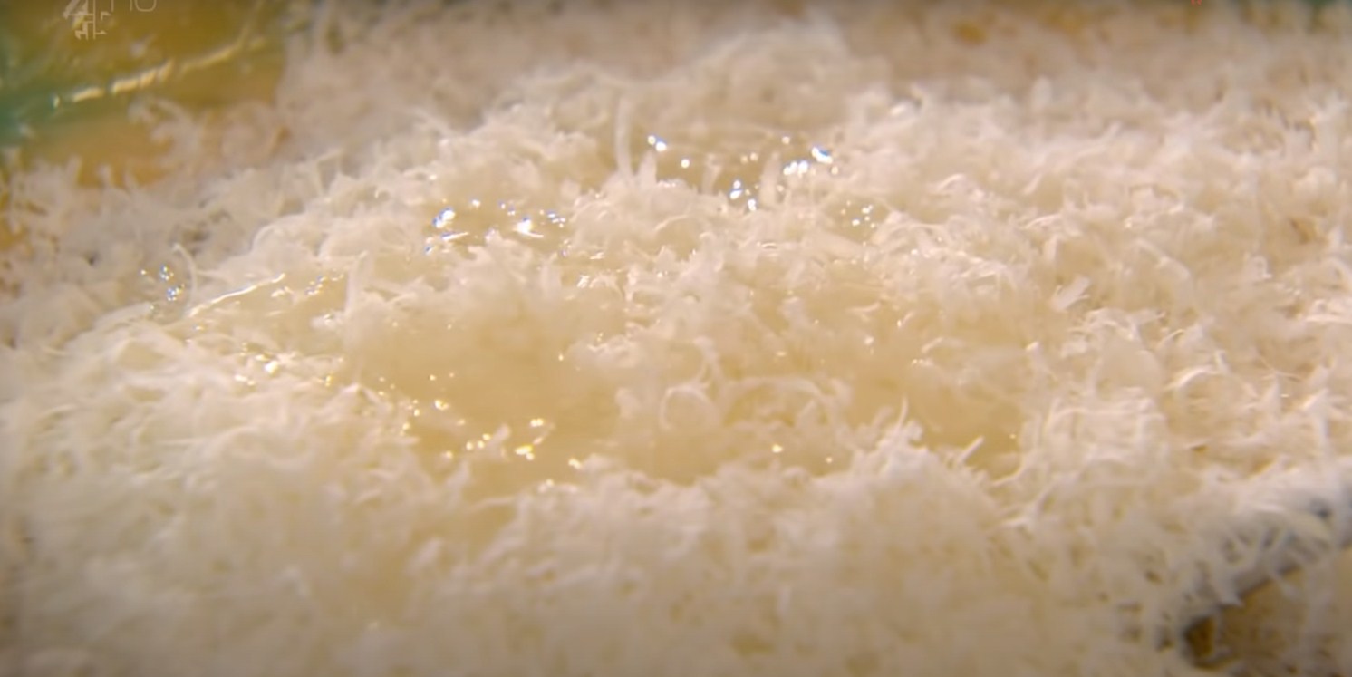 وصفة - سلطة سيزر الدجاج المشوي على طريقة غوردون رامزي - الخطوة 7