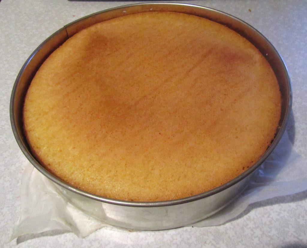 Wie man einen Biskuitkuchen im Gasofen backt – Fotos