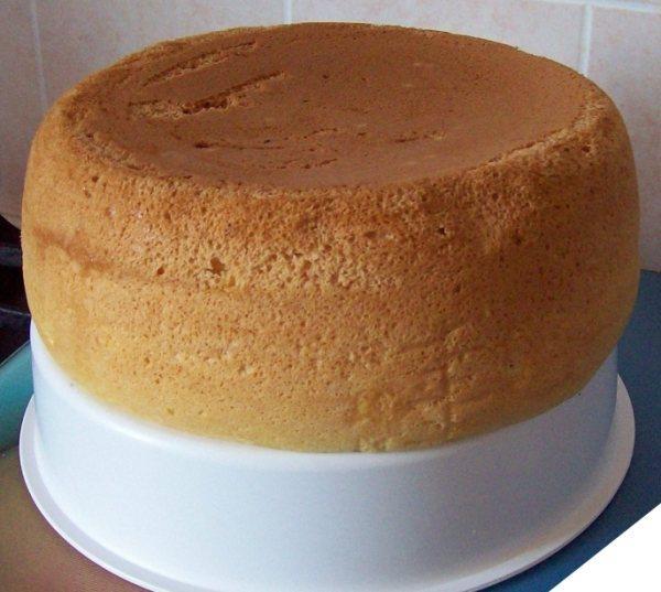 Wie man einen Biskuitkuchen im Schongarer zubereitet – Foto