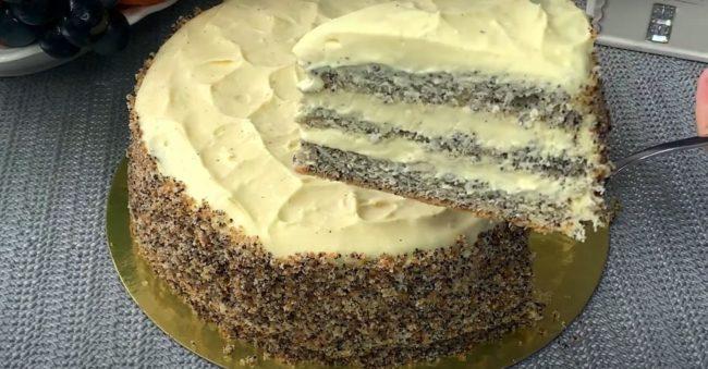 ما الذي يتناسب مع كعكة الإسفنج ببذور الخشخاش - الآيس كريم - صورة