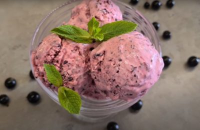 Sorbet i xerbet de grosella negra - foto