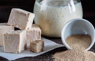 De quoi est composée la levure ? - photo