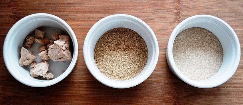 Tipus de llevat, la seva vida útil i condicions d'emmagatzematge