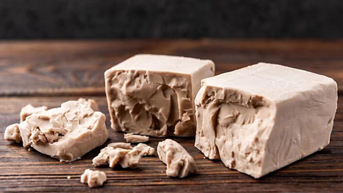 Com emmagatzemar el llevat en briquetes