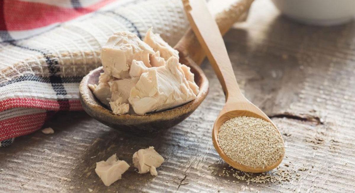 Com provar el llevat